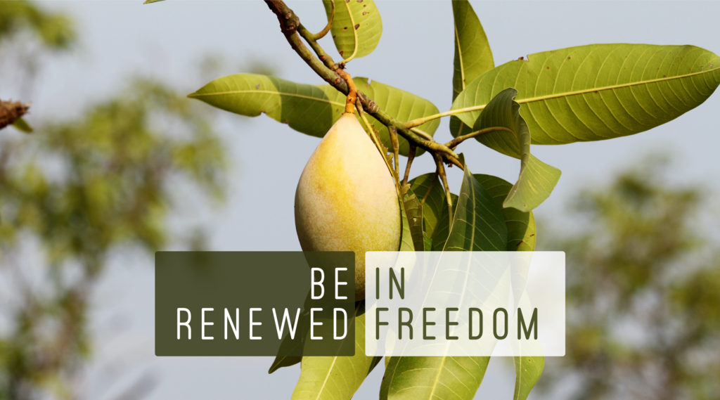 Be Renewed In Freedom