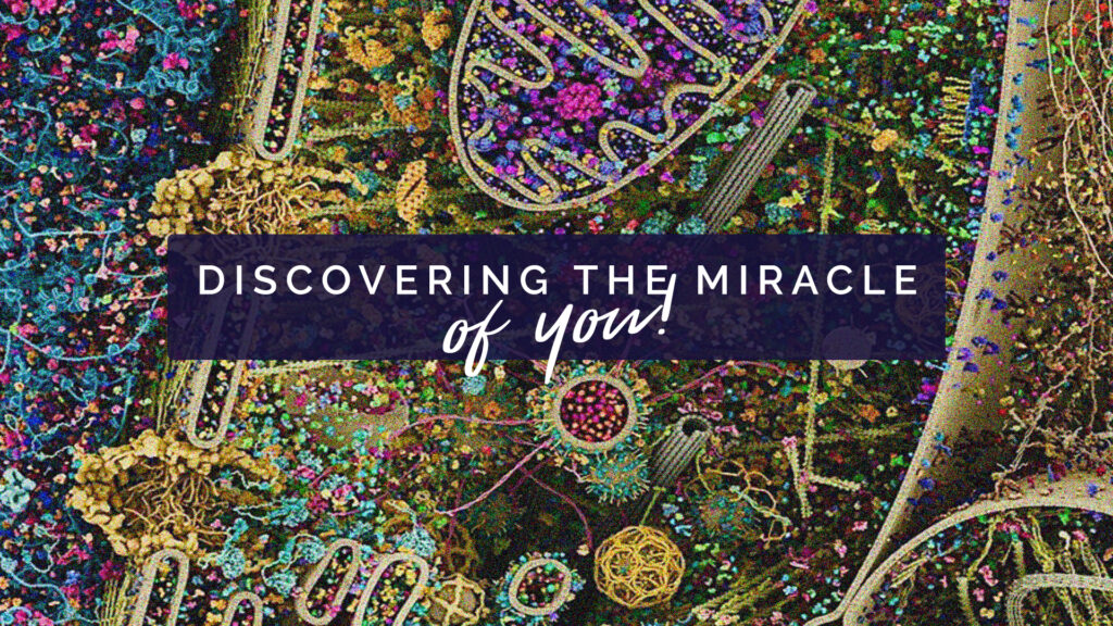 Discovering The Miracle Of You