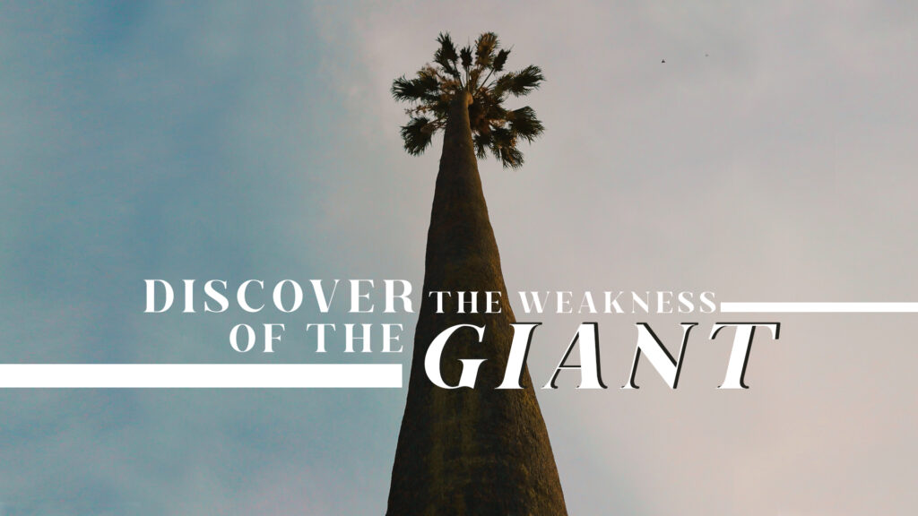 Discover The Weakness Of The Giant